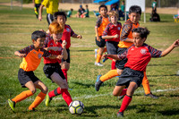 Tigers Soccer